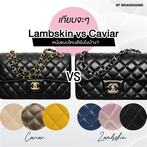 is chanel lambskin or caviar more expensive|GUIDE TO CHANEL: CAVIAR VS LAM.